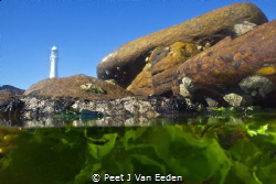 Life in the inter tidal zone by Peet J Van Eeden 